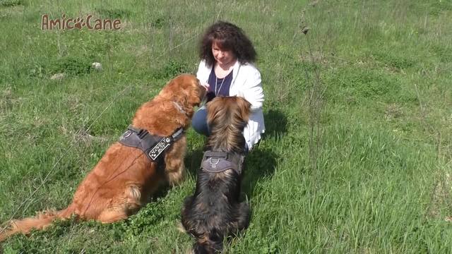 Come insegnare il richiamo