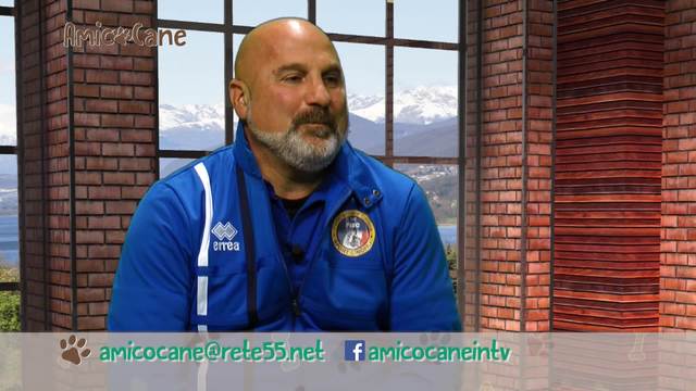 Come capire Fido quando parla