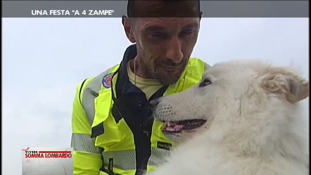 Convegni, musica e ...una festa a 4 zampe