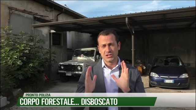 Corpo forestale...disboscato