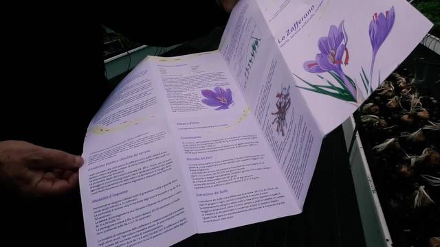 Corsi biennali di alta specializzazione in Fondazione Minoprio