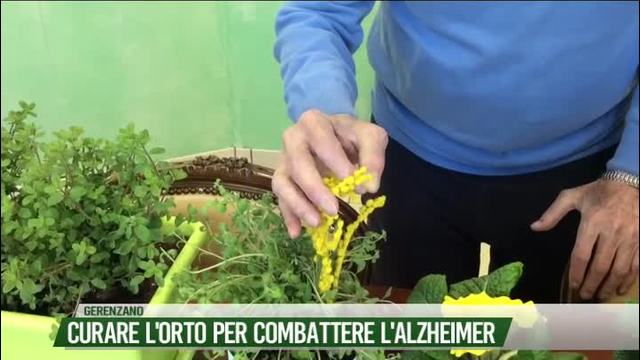 Curare l'orto per combattere l'Alzheimer