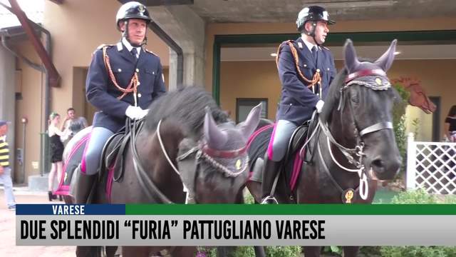 Due splendidi "Furia" pattugliano Varese