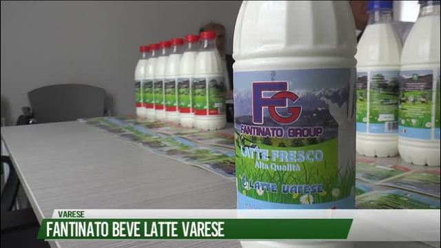 Fantinato beve latte Varese