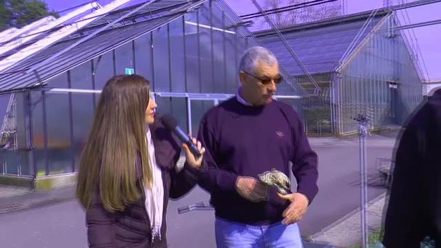 Fondazione Minoprio:collaborazioni con Enti territoriali ed associazioni - collaborazione con il FLA e le fioriture primaverili aperte al pubblico.