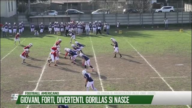 Giovani, forti, divertenti. Gorillas si nasce