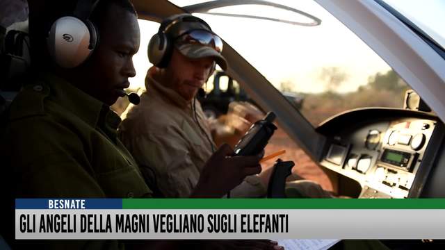 Gli angeli della Magni vegliano sugli elefanti