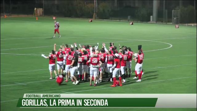 Gorillas, la prima in Seconda