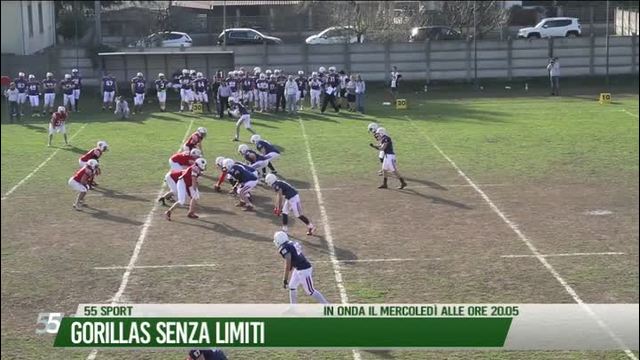 Gorillas senza limiti