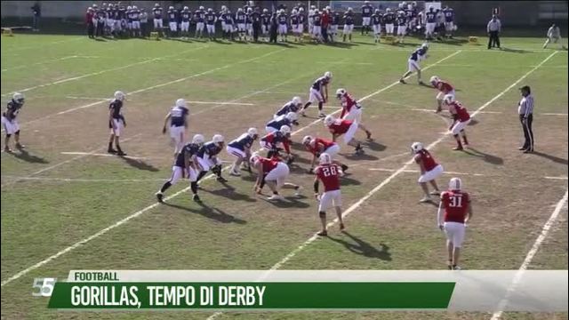 Gorillas, tempo di derby