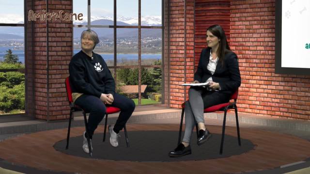 Guarire più velocemente con la Fisioterapia