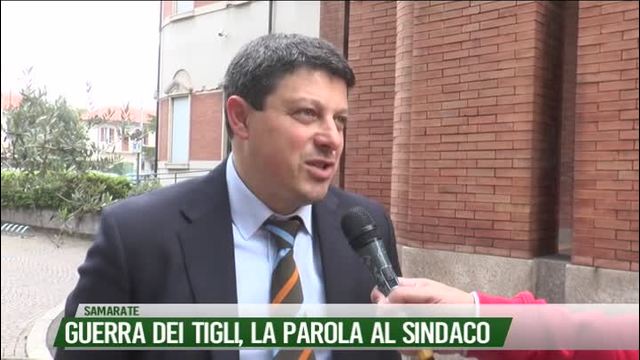 Guerra dei tigli, la parola al sindaco