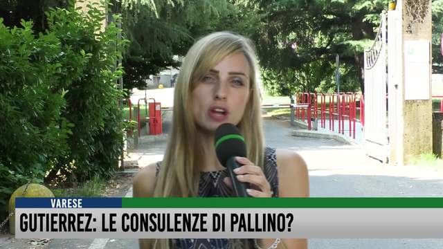 Gutierrez: le consulenze di Pallino?