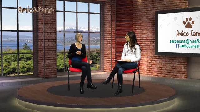 I cani aggressivi esistono?