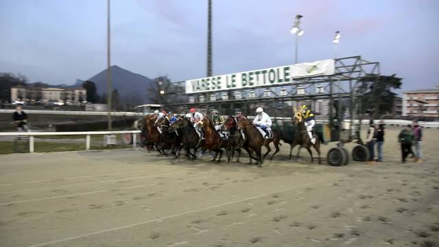 I cavalli, la preparazione, le corse