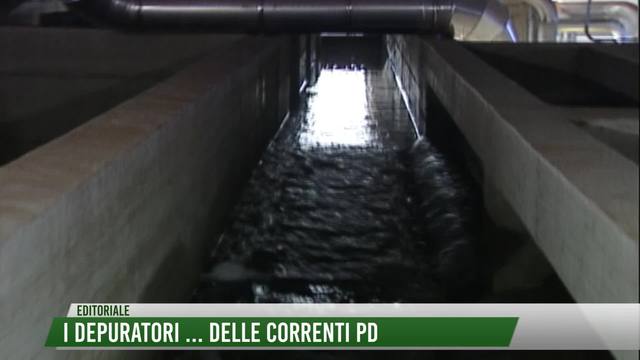 I depuratori...delle correnti PD