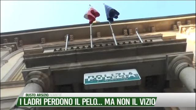 I ladri perdono il pelo...
ma non il vizio