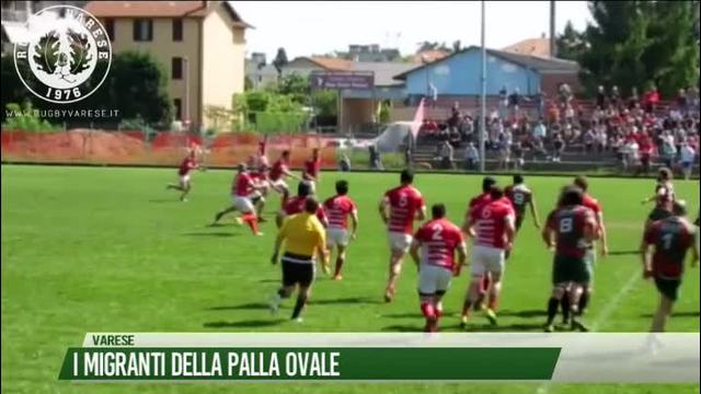 I migranti della palla ovale