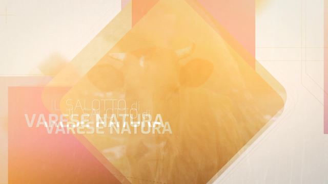 I popoli nascosti dei boschi