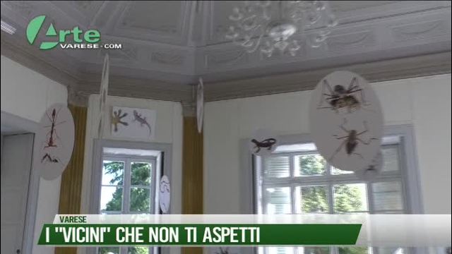 I "vicini" che non ti aspetti