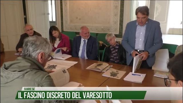Il fascino discreto del varesotto