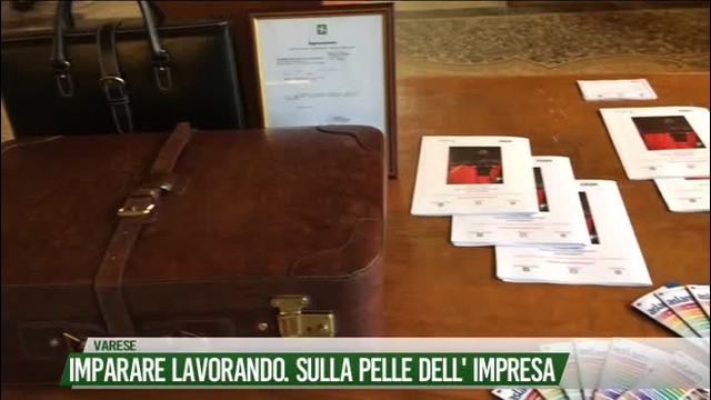 Imparare lavorando. Sulla pelle dell'impresa