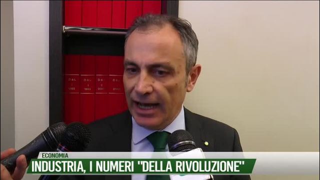 Industria,
i numeri della "rivoluzione"