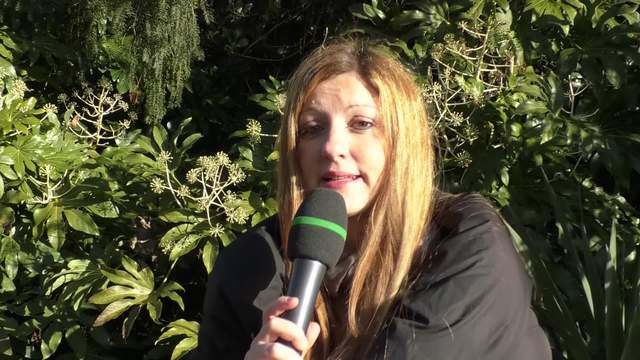 Info news dalla terra un futuro verde