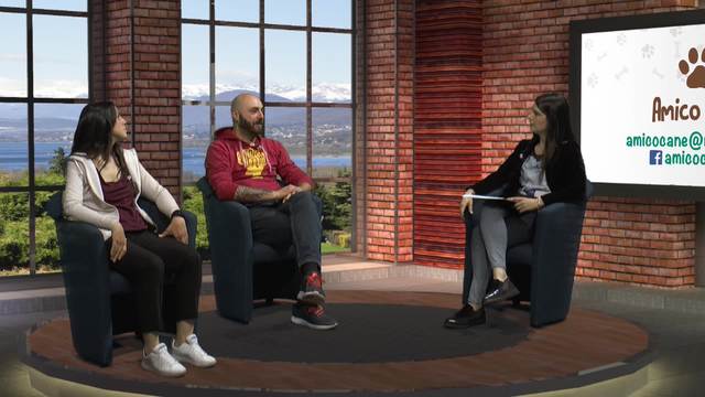 L'adozione nei canili, cosa aspettarsi?