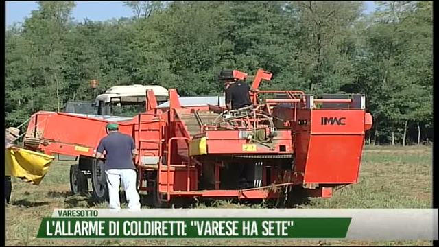 L'allarme di Coldiretti: "Varese ha sete"