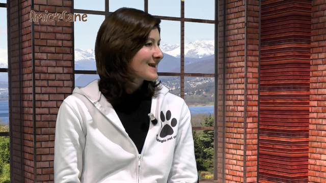 L'alternativa ai canili