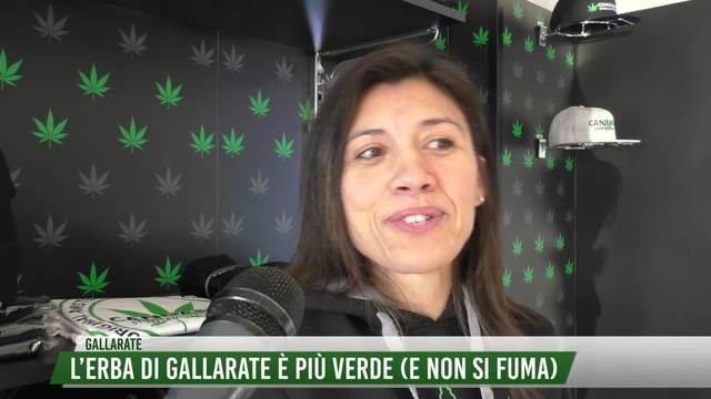 L'erba di Gallarate è più verde (e non si fuma)