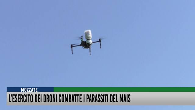 L'esercito dei droni combatte i parassiti del mais