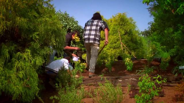 L'offerta formativa dell'Istituto Tecnico Agrario della Fondazione Minoprio