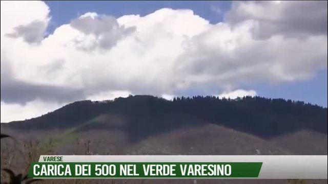 La carica dei 500 nel verde varesino