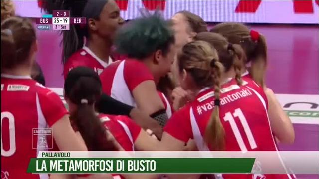 La metamorfosi di Busto