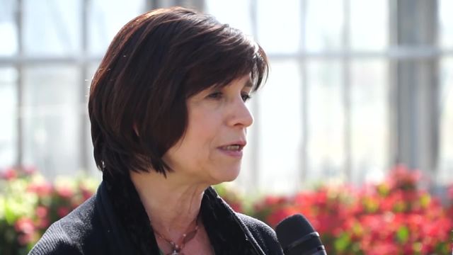 La pianta del mese:il Pak Choi-proprietà e come cucinarlo. Le nuove aperture del Parco della Fondazione Minoprio.