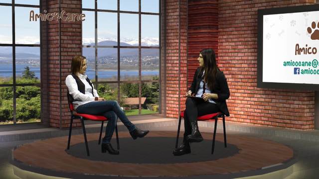 La Ricerca Olfattiva