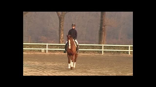 Le eccellenze turistiche dell'equitazione