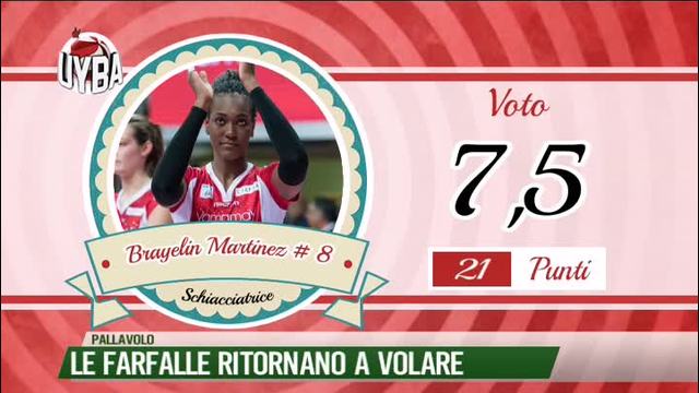 Le farfalle ritornano a volare