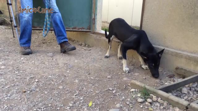 Le staffette dal sud