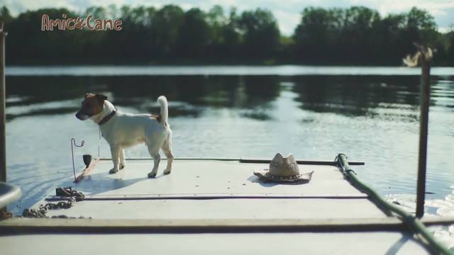 Lesmaniosi, cane e uomo