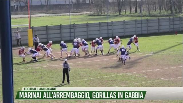 Marinai all'arrembaggio, Gorillas in gabbia