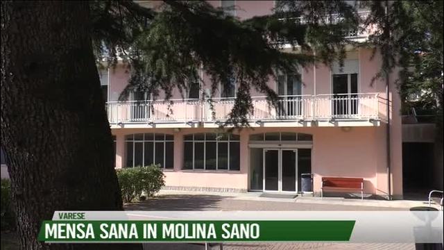 Mensa sana in Molina sano
