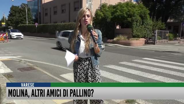 Molina, altri amici di Pallino?