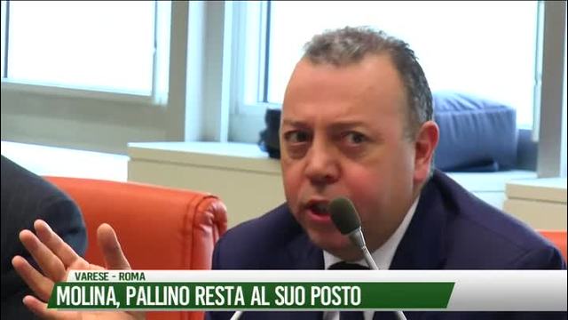 Molina, Pallino resta al suo posto
