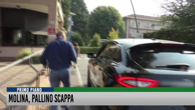 Molina, Pallino scappa
