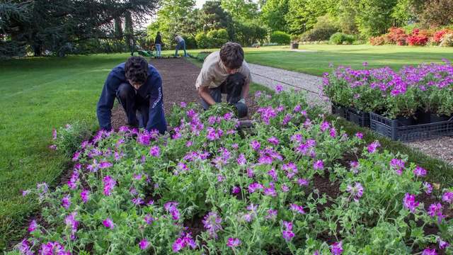 Nei campi della Fondazione Minoprio le prove di esame del 3^ anno di qualifica di operatore agricolo