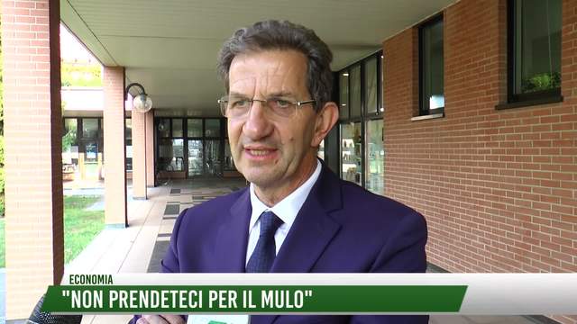 "Non prendeteci per il mulo"
