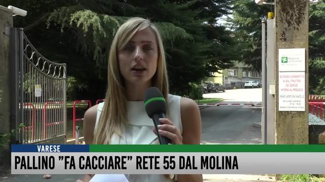 Pallino "fa cacciare" Rete55 dal Molina